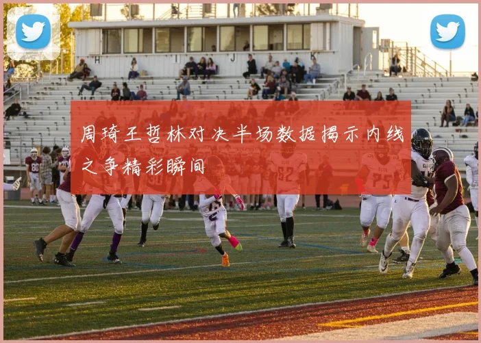 周琦王哲林对决半场数据揭示内线之争精彩瞬间
