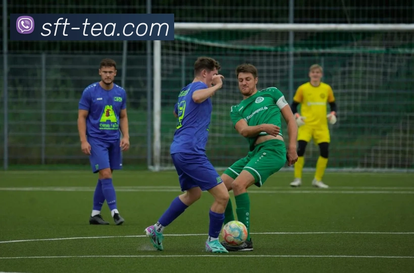 信誉好的平台平台生态图